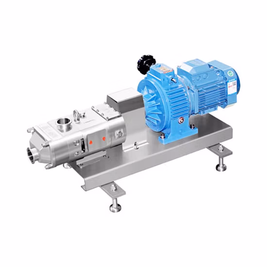 Sanitary Stainless Steel Twin Screw Pump Positive Displacement Double Screw Pump for Food Beverage Pharmaceutical Industries