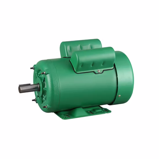 NEMA Standard Motor 2 Poles 1HP High Efficiency Single Phase Electric AC Induction Motor