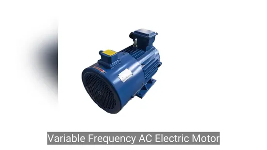 IEC Standard Three Phase VFD Variable Frequency AC Electric Motor for Speed Control High
