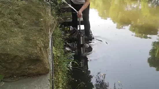 Submersible Propeller Pump with Axial