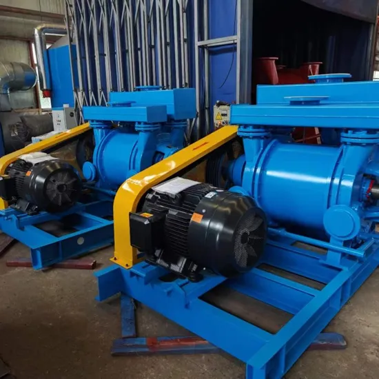 Stainless Steel Liquid Ring Vacuum Pump for Dewatering Element 
