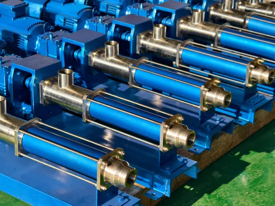 Ronice Progressing Cavity Pump/Screw Pump/Oil Pump/Slurry Pump as Seepex/Netzsch/Mono 